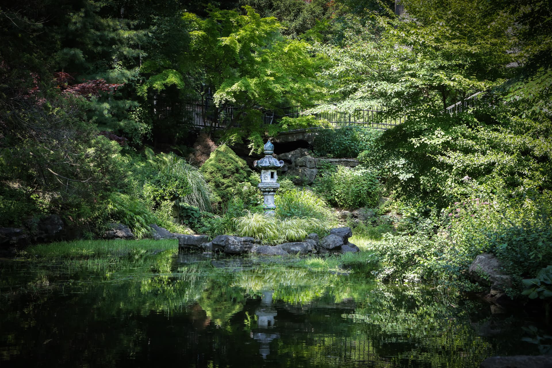 A stone lantern beside a still pond in a shaded Japanese garden